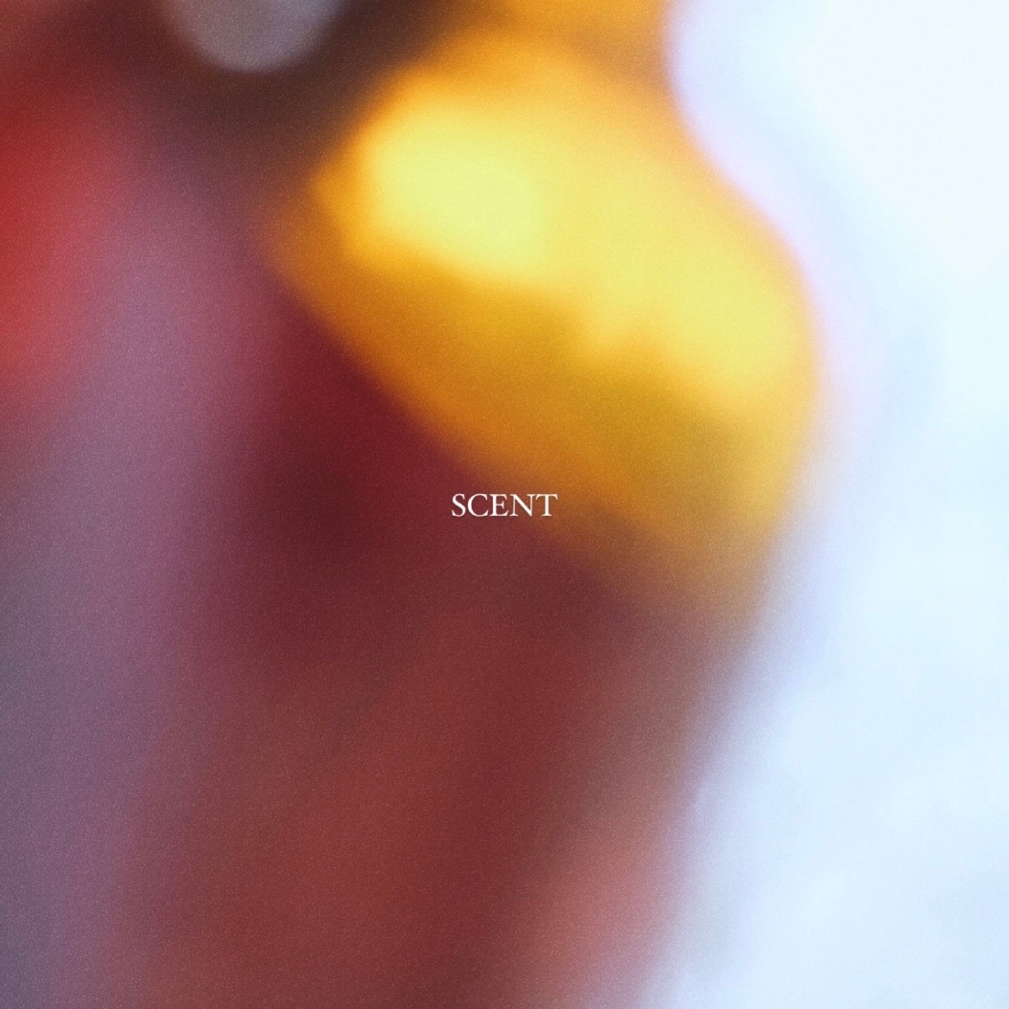 SCENT SAMPLES